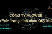 Thiết kế website uy tín Đồng Nai - CTY TNHH TMDV ALOWEB